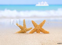 Samolepka flie 100 x 73, 28897412 - two starfish on beach, blue sea and white boat