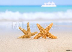 Fototapeta pltno 160 x 116, 28897412 - two starfish on beach, blue sea and white boat