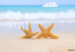 Fototapeta papr 184 x 128, 28897412 - two starfish on beach, blue sea and white boat