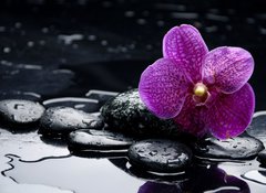 Samolepka flie 100 x 73, 28907297 - still life with pebble and orchid with water drops - zti s oblzky a orchidej s kapkami vody