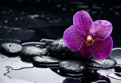 Samolepka flie 145 x 100  still life with pebble and orchid with water drops, 145 x 100 cm