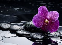 Fototapeta pltno 160 x 116, 28907297 - still life with pebble and orchid with water drops