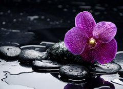 Fototapeta vliesov 200 x 144, 28907297 - still life with pebble and orchid with water drops