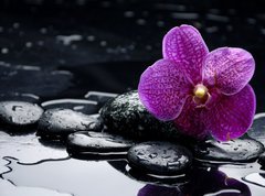 Fototapeta vliesov 270 x 200, 28907297 - still life with pebble and orchid with water drops