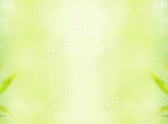 Samolepka flie 270 x 200, 28907329 - Bamboo background