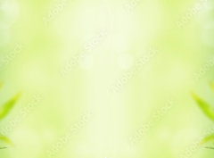 Fototapeta papr 360 x 266, 28907329 - Bamboo background