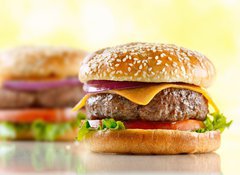 Samolepka flie 100 x 73, 28993138 - cheeseburger