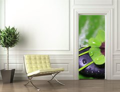 Samolepka na dveře fólie 90 x 220, 29036360 - Im Einklang mit der Natur - V souladu s přírodou