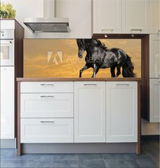 Fototapeta do kuchyn flie 180 x 60, 29158232 - black horse runs gallop - ern k b cval