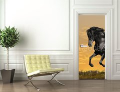 Samolepka na dvee flie 90 x 220  black horse runs gallop, 90 x 220 cm