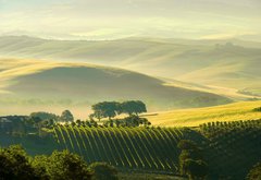 Samolepka flie 145 x 100, 29255589 - Toskana Huegel  - Tuscany hills 38