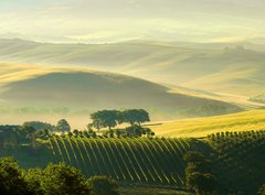 Fototapeta330 x 244  Toskana Huegel  Tuscany hills 38, 330 x 244 cm