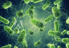 Fototapeta174 x 120  Pathogenic Salmonella Bacteria, Microbiological research, 174 x 120 cm
