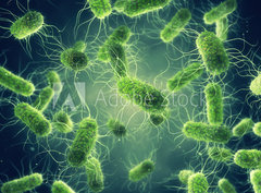 Fototapeta360 x 266  Pathogenic Salmonella Bacteria, Microbiological research, 360 x 266 cm