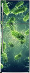 Samolepka na lednici flie 80 x 200  Pathogenic Salmonella Bacteria, Microbiological research, 80 x 200 cm