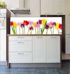 Fototapeta do kuchyn flie 180 x 60, 29490982 - Spring tulip flowers in a row