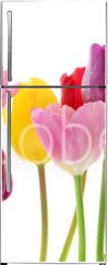 Samolepka na lednici flie 80 x 200, 29490982 - Spring tulip flowers in a row