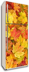 Samolepka na lednici flie 80 x 200, 295252486 - Maple leaves Autumn red yellow green floral background banner