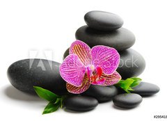 Fototapeta pltno 240 x 174, 29541854 - Spa concept