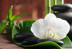 Samolepka flie 145 x 100  Spa concept, 145 x 100 cm