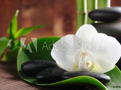 Samolepka flie 270 x 200  Spa concept, 270 x 200 cm