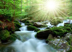 Fototapeta240 x 174  Waterfall in the national park Sumava Czech Republic, 240 x 174 cm