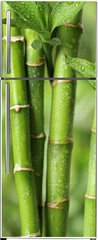 Samolepka na lednici fólie 80 x 200, 297248139 - Beautiful green bamboo stems on blurred background