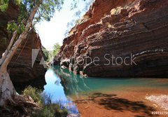 Fototapeta papr 184 x 128, 29732755 - Hamersley Gorge, Karijini National Park - Hamersley Gorge, nrodn park Karijini