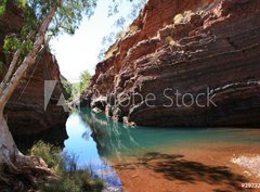 Fototapeta pltno 330 x 244, 29732755 - Hamersley Gorge, Karijini National Park