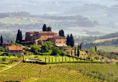 Fototapeta184 x 128  Toskana Weingut  Tuscany vineyard 03, 184 x 128 cm