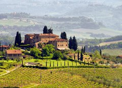 Fototapeta240 x 174  Toskana Weingut  Tuscany vineyard 03, 240 x 174 cm