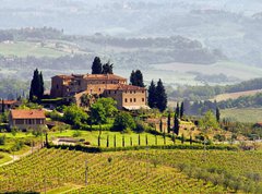 Fototapeta330 x 244  Toskana Weingut  Tuscany vineyard 03, 330 x 244 cm