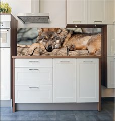 Fototapeta do kuchyn flie 180 x 60  Knuddel mich, 180 x 60 cm