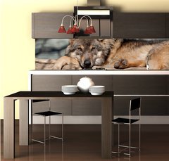 Fototapeta do kuchyn flie 260 x 60  Knuddel mich, 260 x 60 cm