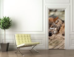 Samolepka na dvee flie 90 x 220  Knuddel mich, 90 x 220 cm