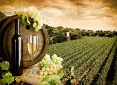 Samolepka flie 100 x 73, 29883743 - Wine and vineyard in vintage style - Vno a vinice ve vinobran