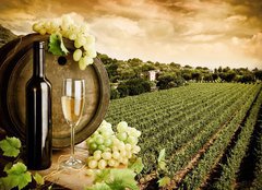 Fototapeta pltno 160 x 116, 29883743 - Wine and vineyard in vintage style