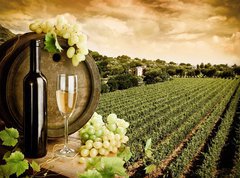 Samolepka flie 270 x 200, 29883743 - Wine and vineyard in vintage style - Vno a vinice ve vinobran