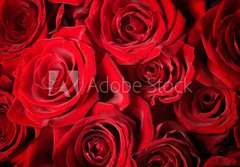 Fototapeta184 x 128  Roses Background, 184 x 128 cm