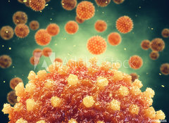 Samolepka flie 100 x 73, 299804686 - Chronic liver disease can be caused by a viral hepatitis infection, Hepatitis viruses