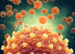 Fototapeta pltno 160 x 116, 299804686 - Chronic liver disease can be caused by a viral hepatitis infection, Hepatitis viruses