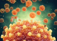 Samolepka flie 200 x 144, 299804686 - Chronic liver disease can be caused by a viral hepatitis infection, Hepatitis viruses