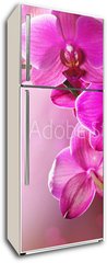 Samolepka na lednici flie 80 x 200  Orchid Flower border design, 80 x 200 cm