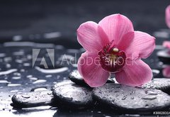 Samolepka flie 145 x 100, 30028314 - still life with pebble and macro of orchid with water drops - zti s oblzky a makro orchidea s vodn kapky