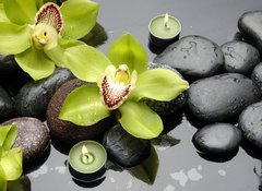 Fototapeta100 x 73  therapy stones and orchid flower with water drops, 100 x 73 cm