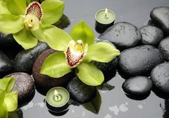 Fototapeta184 x 128  therapy stones and orchid flower with water drops, 184 x 128 cm