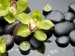 Fototapeta vliesov 270 x 200, 30029365 - therapy stones and orchid flower with water drops - liv kameny a orchidejov kvtiny s vodnmi kapkami