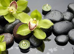 Fototapeta pltno 330 x 244, 30029365 - therapy stones and orchid flower with water drops