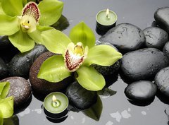 Fototapeta papr 360 x 266, 30029365 - therapy stones and orchid flower with water drops - liv kameny a orchidejov kvtiny s vodnmi kapkami