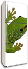 Samolepka na lednici flie 80 x 200  lezard vert, 80 x 200 cm